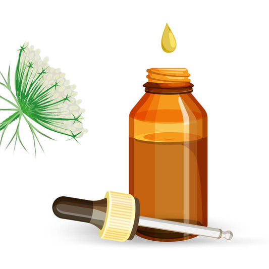 Huile essentielle de carotte sauvage BIO