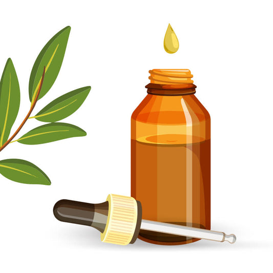 Huile essentielle de laurier noble BIO