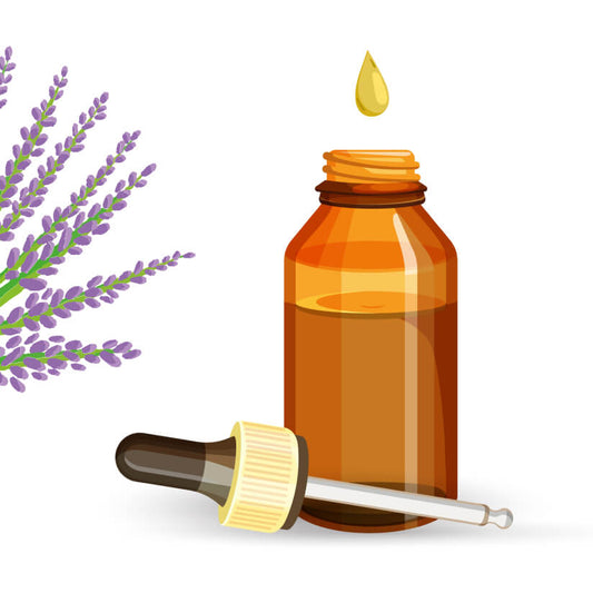 Huile essentielle de Lavande vraie BIO