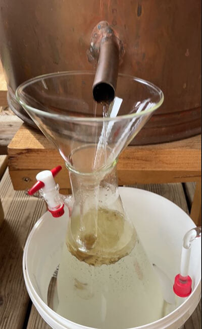 Romarin, ciinéole, cultivé, distillation, huile essentielle, Saint Forgeux, Beaujolais, Lyon, Rhône