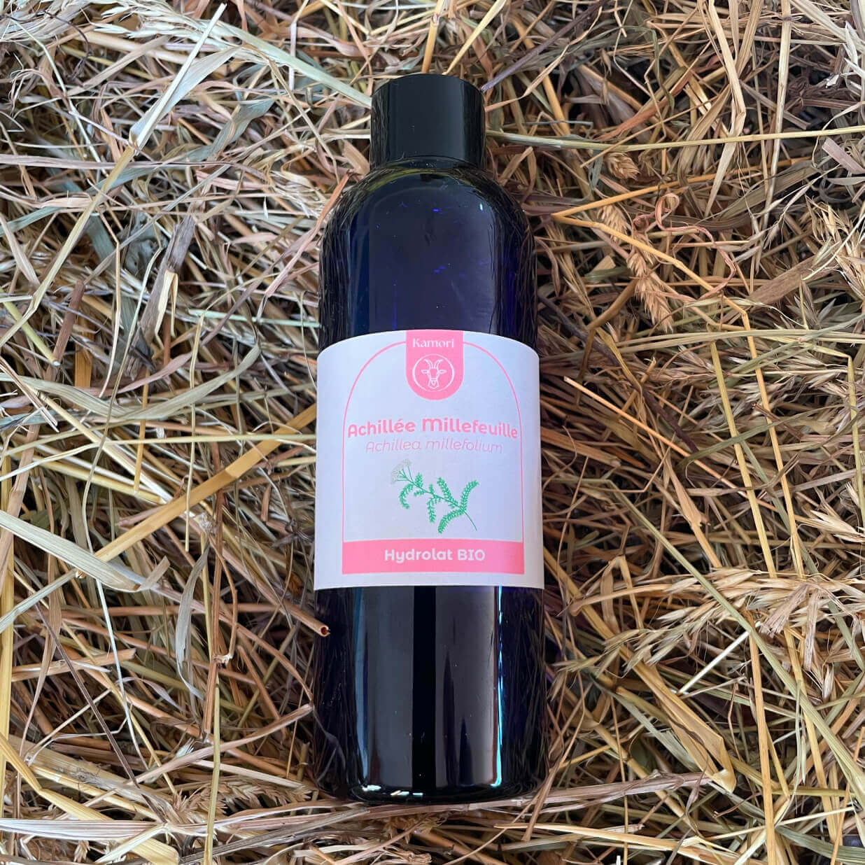 hydrolat, hémostatique, cicatrisante