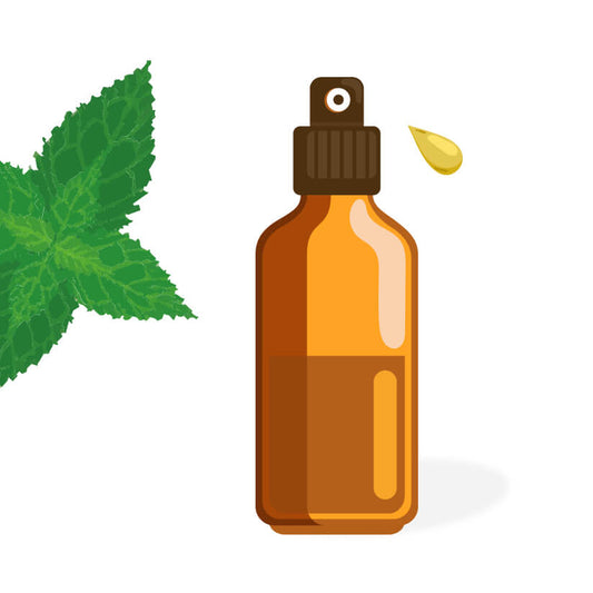 Eau florale d’ortie BIO