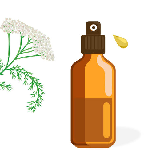Hydrolat d’Achillée Millefeuille BIO
