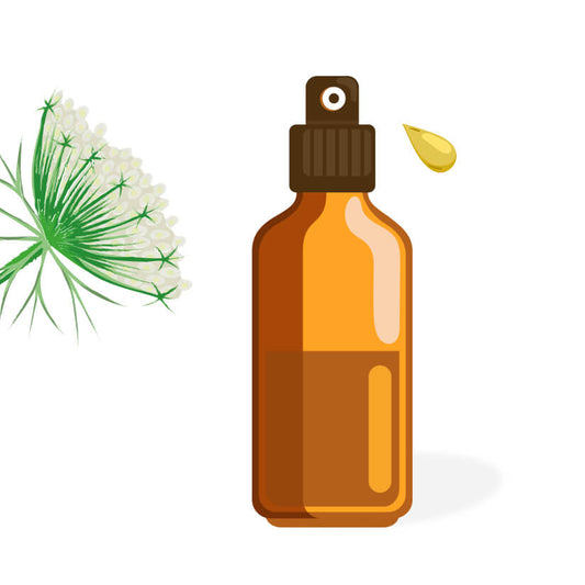 Hydrolat de carotte sauvage BIO