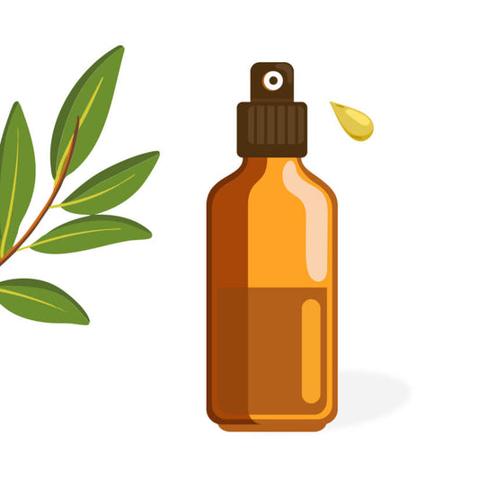 Hydrolat de laurier noble BIO