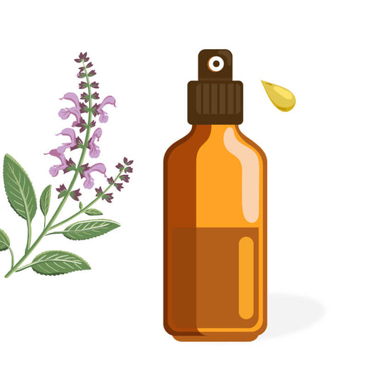 Hydrolat de sauge officinale
