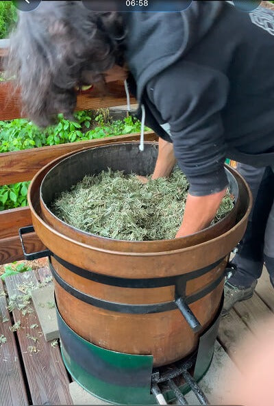 Hydrolat de sapin blanc BIO