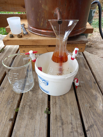 Origan à carvacrol, distillation, Saint Forgeux, Rhône Lyon, Beaujolais