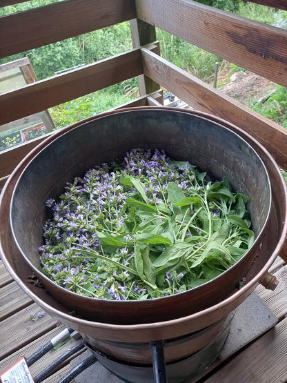 hydrolat de sauge officinale, Saint Forgeux, Lyon, Beaujolais vert