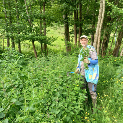 cueillette ortie bio kamori