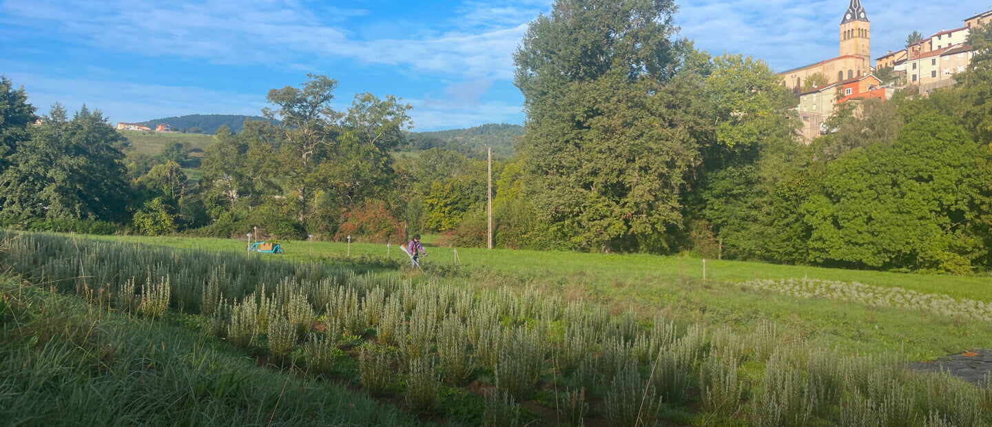 kamori champ producteur bio ferme Lyon