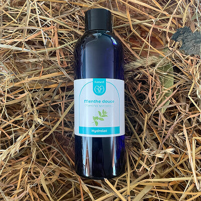 Hydrolat de menthe verte
