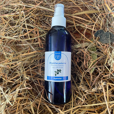 Hydrolat de menthe poivrée