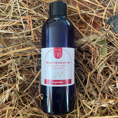 Hydrolat d'origan à carvacrol
