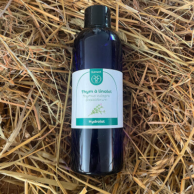 Hydrolat de thym à linalol