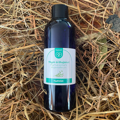 Hydrolat de thym à thujanol
